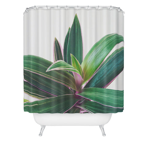 Cassia Beck Oyster Plant Shower Curtain