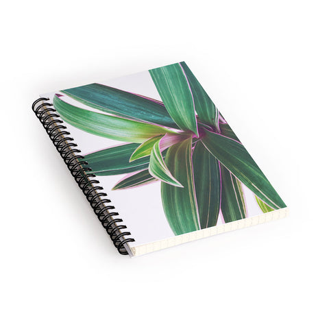 Cassia Beck Oyster Plant Spiral Notebook