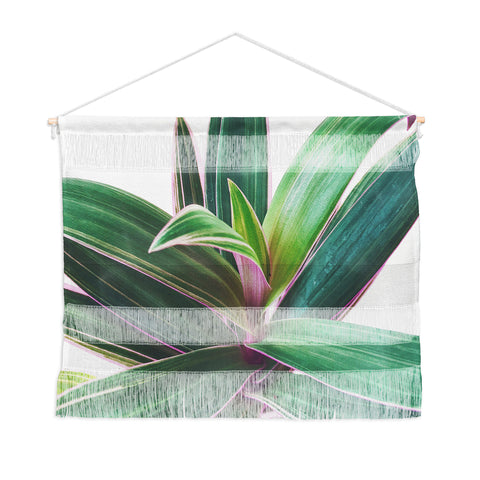 Cassia Beck Oyster Plant Wall Hanging Landscape
