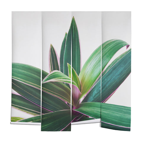 Cassia Beck Oyster Plant Wall Mural