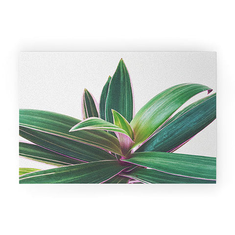 Cassia Beck Oyster Plant Welcome Mat