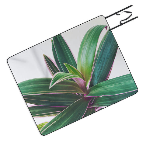 Cassia Beck Oyster Plant Picnic Blanket