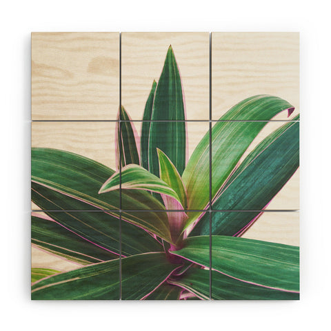 Cassia Beck Oyster Plant Wood Wall Mural