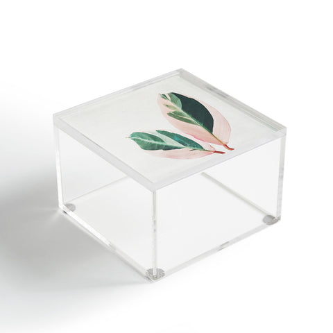 Cassia Beck Pink Leaves I Acrylic Box