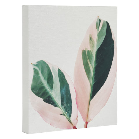 Cassia Beck Pink Leaves I Art Canvas