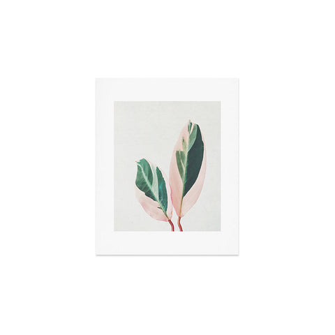 Cassia Beck Pink Leaves I Art Print