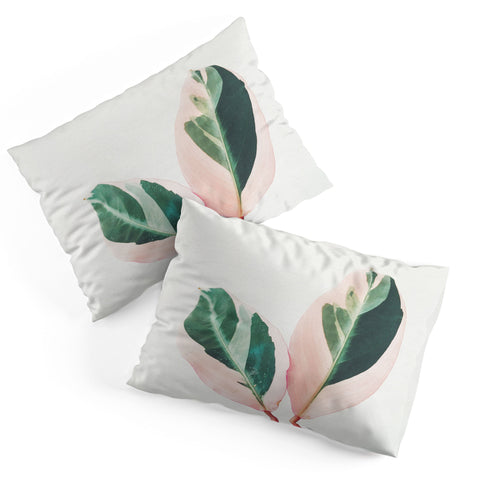 Cassia Beck Pink Leaves I Pillow Shams