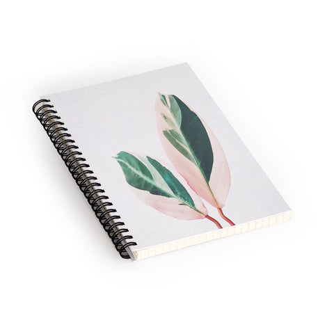 Cassia Beck Pink Leaves I Spiral Notebook