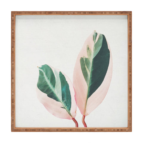 Cassia Beck Pink Leaves I Square Tray