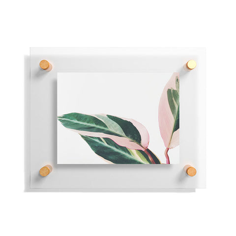Cassia Beck Pink Leaves II Floating Acrylic Print