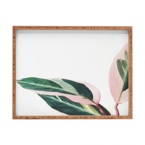 Cassia Beck Pink Leaves II Rectangular Tray