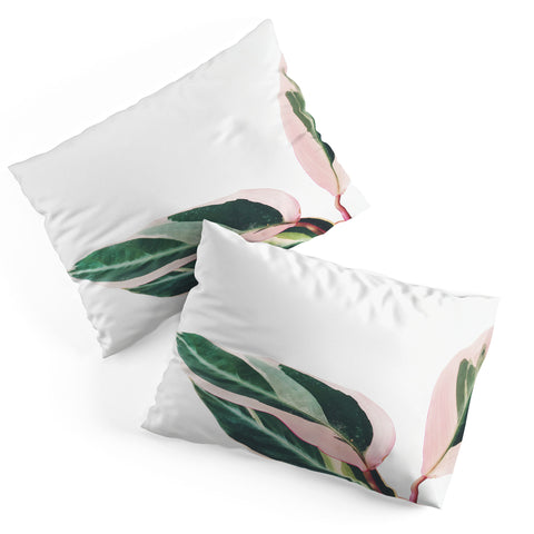 Cassia Beck Pink Leaves II Pillow Shams