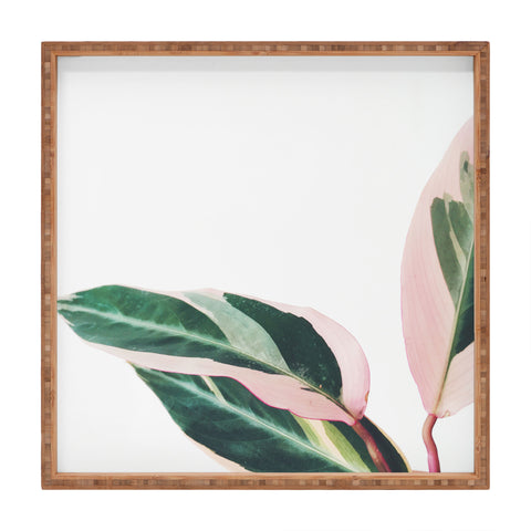 Cassia Beck Pink Leaves II Square Tray
