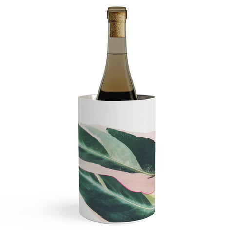 Cassia Beck Pink Leaves II Wine Chiller