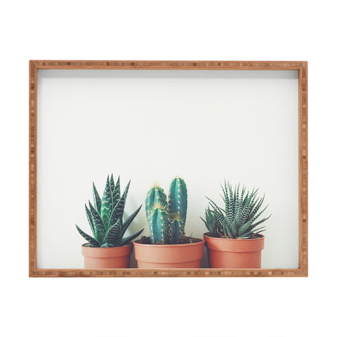 Cassia Beck Potted Plants Rectangular Tray