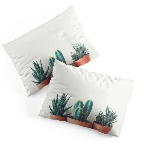 Cassia Beck Potted Plants Pillow Shams
