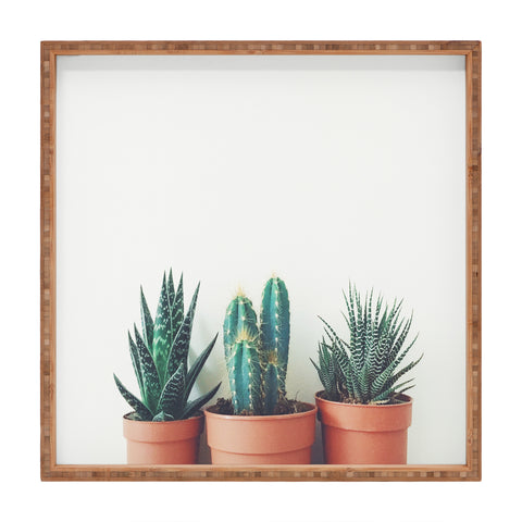Cassia Beck Potted Plants Square Tray