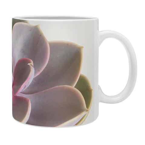 Cassia Beck Purple Succulent Coffee Mug