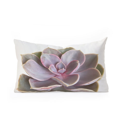 Cassia Beck Purple Succulent Oblong Throw Pillow