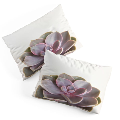 Cassia Beck Purple Succulent Pillow Shams