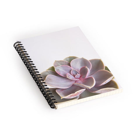 Cassia Beck Purple Succulent Spiral Notebook