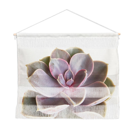Cassia Beck Purple Succulent Wall Hanging Landscape