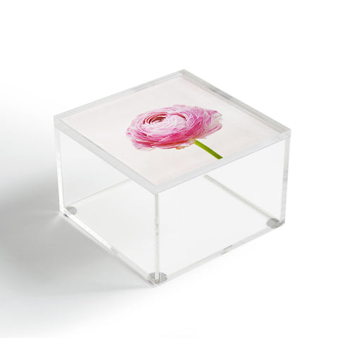 Cassia Beck Ranunculus Flower Acrylic Box