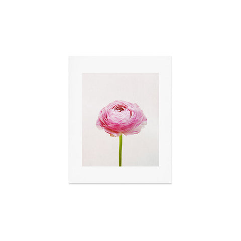 Cassia Beck Ranunculus Flower Art Print