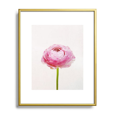 Cassia Beck Ranunculus Flower Metal Framed Art Print
