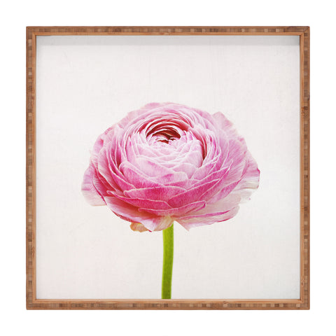 Cassia Beck Ranunculus Flower Square Tray