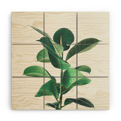 Cassia Beck Rubber Fig Wood Wall Mural