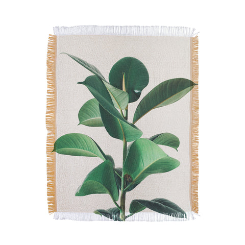 Cassia Beck Rubber Fig Throw Blanket