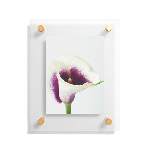 Cassia Beck The Calla Lily Floating Acrylic Print