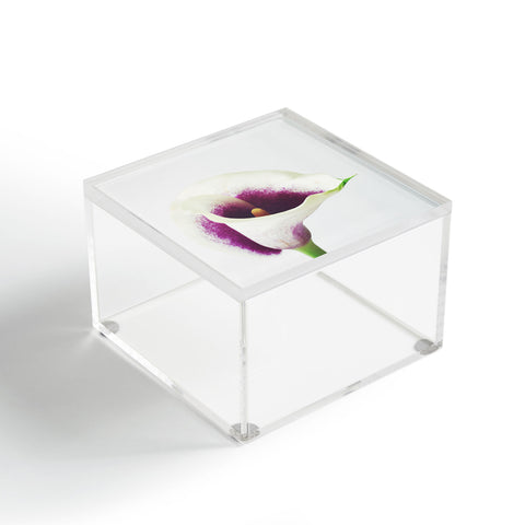 Cassia Beck The Calla Lily Acrylic Box