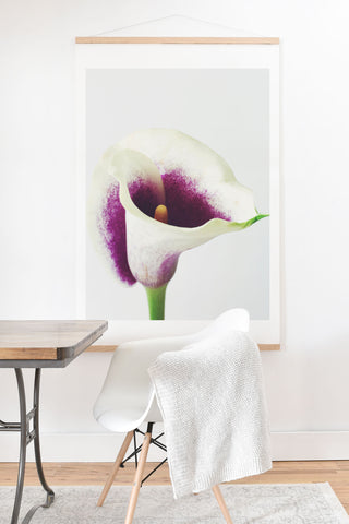 Cassia Beck The Calla Lily Art Print And Hanger