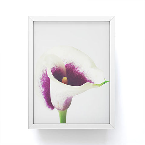 Cassia Beck The Calla Lily Framed Mini Art Print