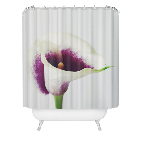 Cassia Beck The Calla Lily Shower Curtain