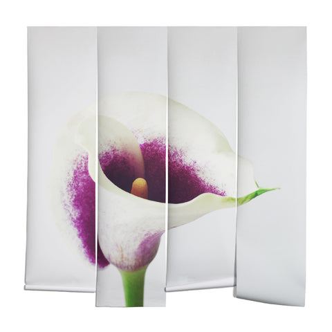 Cassia Beck The Calla Lily Wall Mural