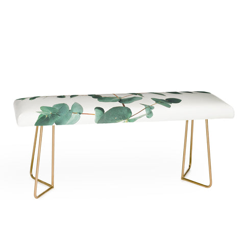 Cassia Beck The Eucalyptus Bench