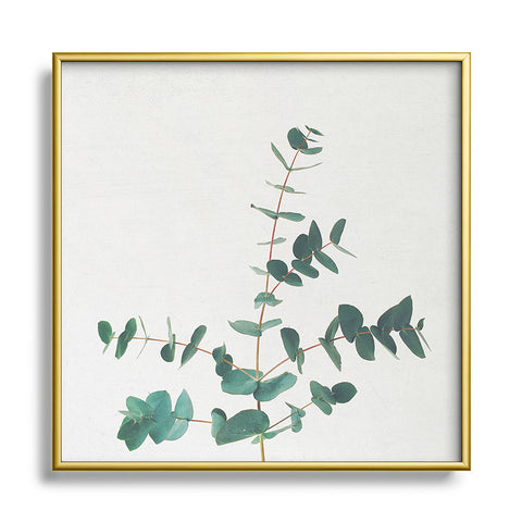 Cassia Beck The Eucalyptus Metal Square Framed Art Print