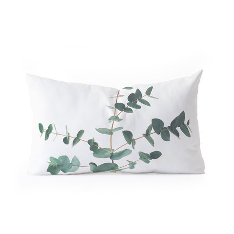 Cassia Beck The Eucalyptus Oblong Throw Pillow