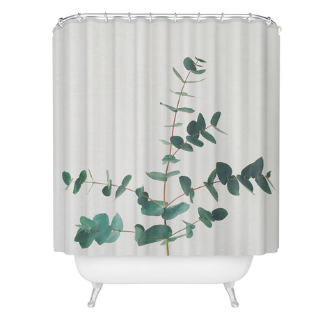 Cassia Beck The Eucalyptus Shower Curtain