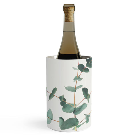 Cassia Beck The Eucalyptus Wine Chiller
