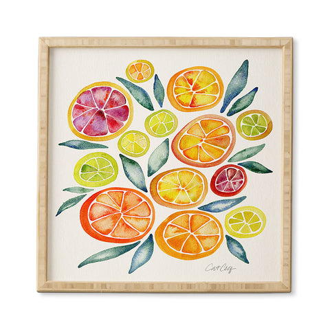 Cat Coquillette Citrus Slices Framed Wall Art