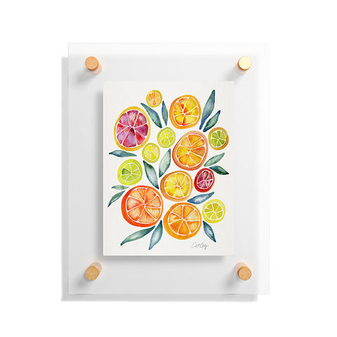 Cat Coquillette Citrus Slices Floating Acrylic Print
