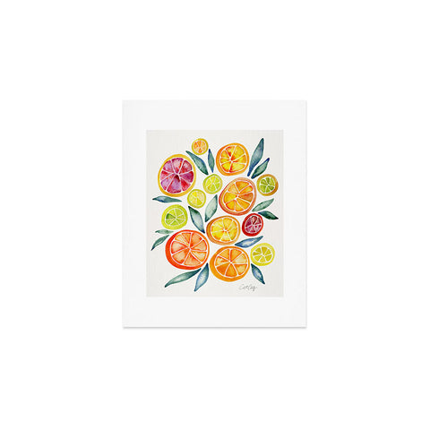 Cat Coquillette Citrus Slices Art Print