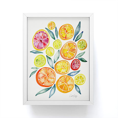 Cat Coquillette Citrus Slices Framed Mini Art Print