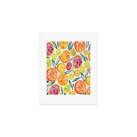 Cat Coquillette Citrus Slices Pattern Art Print