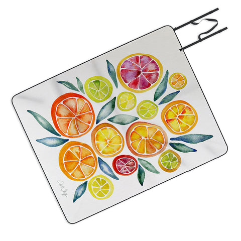 Cat Coquillette Citrus Slices Picnic Blanket