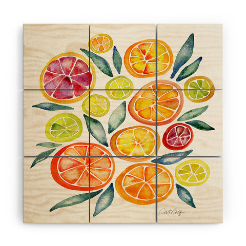 Cat Coquillette Citrus Slices Wood Wall Mural
